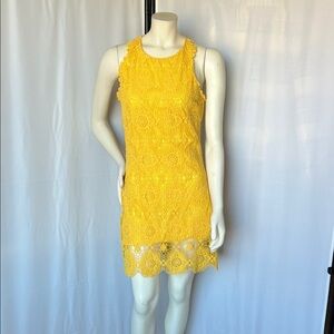Ali Ro Sunlit Lace Mini Dress